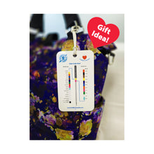 Load image into Gallery viewer, SCHMETZ February 2025 Blue Bag Special